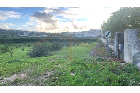 Helårsgrund i Obidos, Leiria, Obidos - € 350.000 | Ref: EL2023390 - foto 2