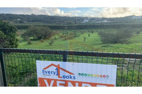 Helårsgrund i Obidos, Leiria, Obidos - € 350.000 | Ref: EL2023390 - foto 3