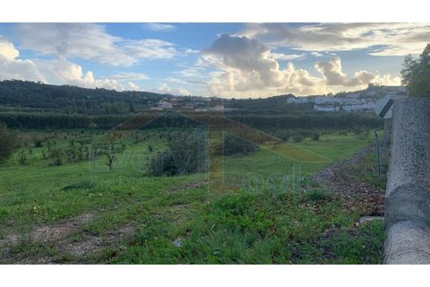 Helårsgrund i Obidos, Leiria, Obidos - € 350.000 | Ref: EL2023390 - foto 7