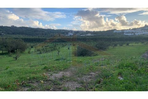Helårsgrund i Obidos, Leiria, Obidos - € 350.000 | Ref: EL2023390 - foto 8