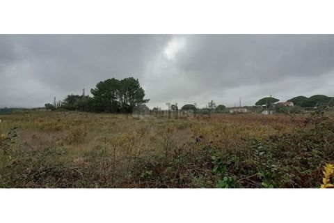Villa i Sintra, Lisbon, Sintra - € 945.000 | Ref: CAS_1734 - foto 30