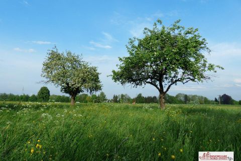 Helårsgrund i Corbetta, Milan, Corbetta - € 20.000 | Ref: terreno soriano/battuello - foto 1