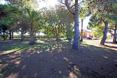 Villa - Els Poblets, Alicante, Els Poblets - € 850 000 | Réf : 001394 - photo 26