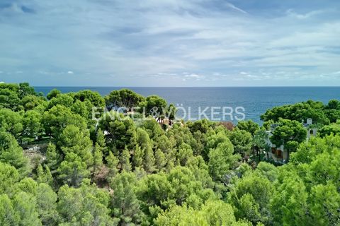 Terra a Altea, Alicante, Altea - € 1.500.000 | Ref: W-02T9V1 - foto 5