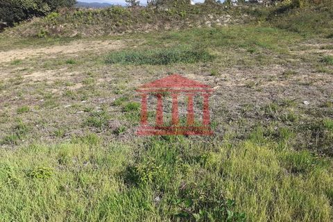 Helårsgrund i Esposende, Braga, Esposende - € 54.000 | Ref: 272T00964 - foto 11