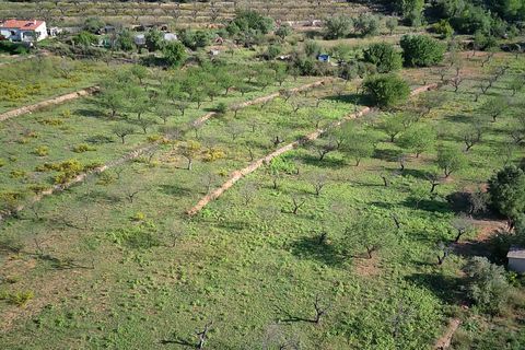 Terra a Murla, Alicante, Murla - € 100.000 | Ref: 001355 - foto 2