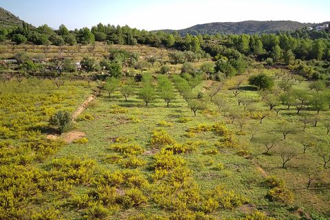 Terra a Murla, Alicante, Murla - € 100.000 | Ref: 001355 - foto 3