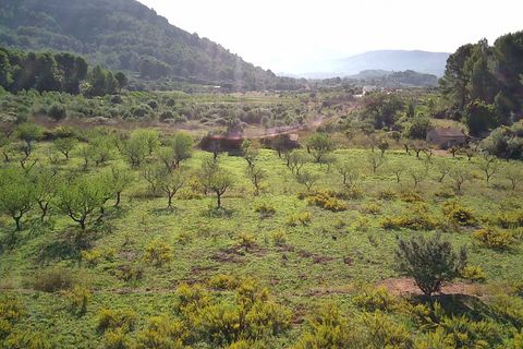 Terra a Murla, Alicante, Murla - € 100.000 | Ref: 001355 - foto 5