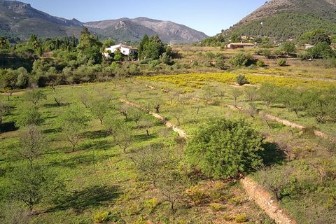 Terra a Murla, Alicante, Murla - € 100.000 | Ref: 001355 - foto 6