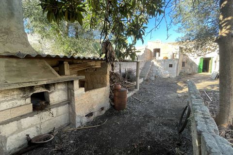 Byhus i Muro, Mallorca, Muro - € 590.000 | Ref: 77843 - foto 12