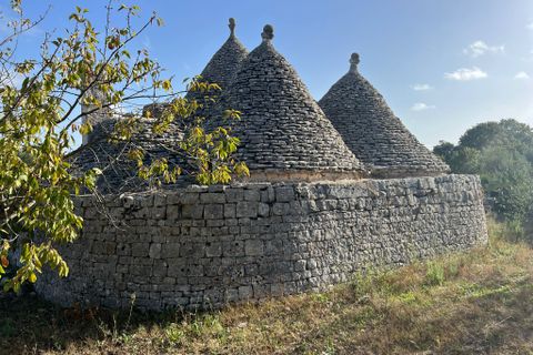 Landejendom i Cisternino, Brindisi, Cisternino - € 135.000 | Ref: 245 - foto 14
