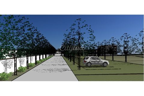 Helårsgrund i A dos Cunhados e Maceira, Lisbon, A dos Cunhados e Maceira - € 1.500.000 | Ref: CL036019 - foto 16