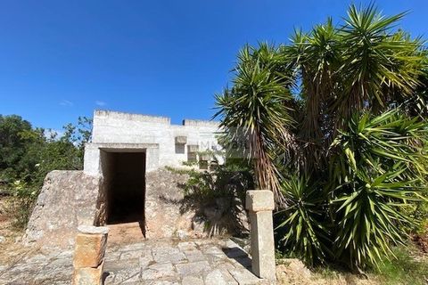 Helårsgrund i Carovigno, Brindisi, Carovigno - € 90.000 | Ref: TR42 LAND - foto 2