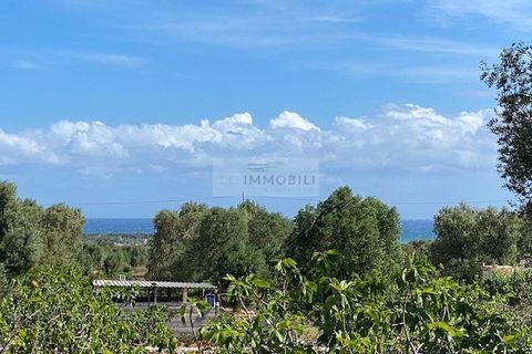 Helårsgrund i Carovigno, Brindisi, Carovigno - € 90.000 | Ref: TR42 LAND - foto 5