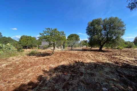 Helårsgrund i Carovigno, Brindisi, Carovigno - € 90.000 | Ref: TR42 LAND - foto 6