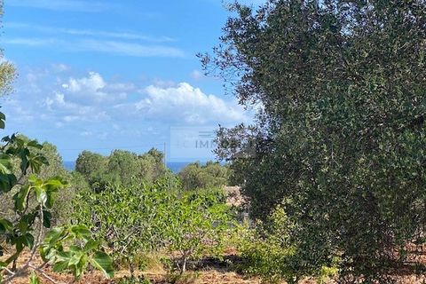 Helårsgrund i Carovigno, Brindisi, Carovigno - € 90.000 | Ref: TR42 LAND - foto 9