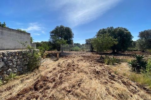 Helårsgrund i Carovigno, Brindisi, Carovigno - € 90.000 | Ref: TR42 LAND - foto 8