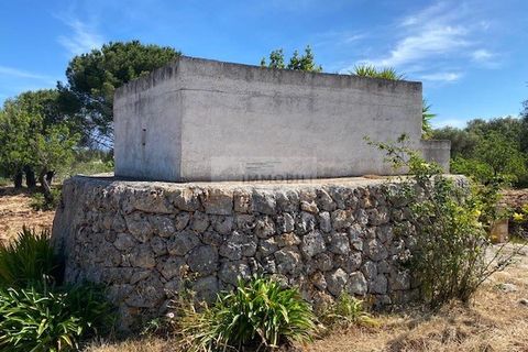 Helårsgrund i Carovigno, Brindisi, Carovigno - € 90.000 | Ref: TR42 LAND - foto 7
