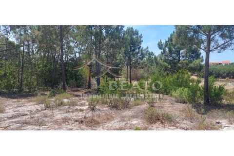 Helårsgrund i Monchique, Faro, Monchique - € 80.000 | Ref: 9128 - foto 2
