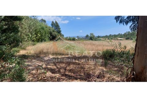 Helårsgrund i Monchique, Faro, Monchique - € 80.000 | Ref: 9128 - foto 4
