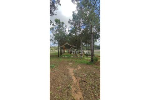 Helårsgrund i Monchique, Faro, Monchique - € 80.000 | Ref: 9128 - foto 7