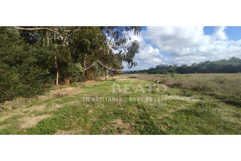 Helårsgrund i Monchique, Faro, Monchique - € 80.000 | Ref: 9128 - foto 1