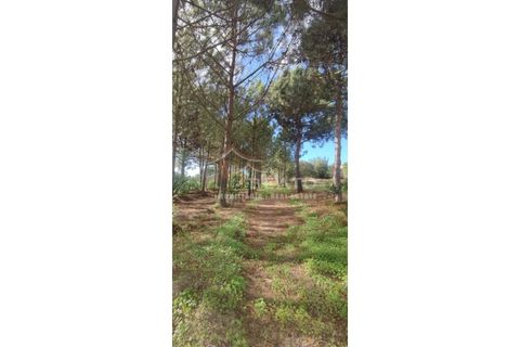Helårsgrund i Monchique, Faro, Monchique - € 80.000 | Ref: 9128 - foto 6