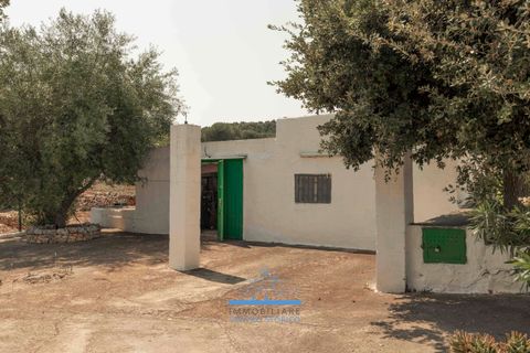Villa i Ostuni, Brindisi, Ostuni - € 200.000 | Ref: 655 - foto 21