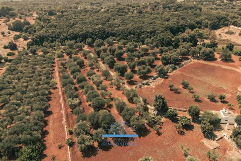 Villa i Ostuni, Brindisi, Ostuni - € 200.000 | Ref: 655 - foto 46