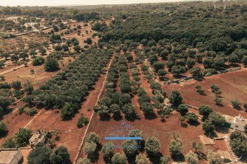 Villa i Ostuni, Brindisi, Ostuni - € 200.000 | Ref: 655 - foto 47