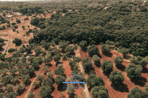 Villa i Ostuni, Brindisi, Ostuni - € 200.000 | Ref: 655 - foto 48