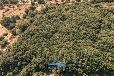 Villa i Ostuni, Brindisi, Ostuni - € 200.000 | Ref: 655 - foto 49