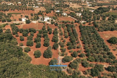 Villa i Ostuni, Brindisi, Ostuni - € 200.000 | Ref: 655 - foto 50