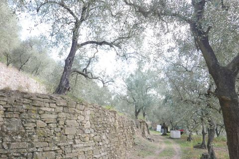 Villa a Apricale, Imperia, Apricale - € 350.000 | Ref: 83462365 - foto 5
