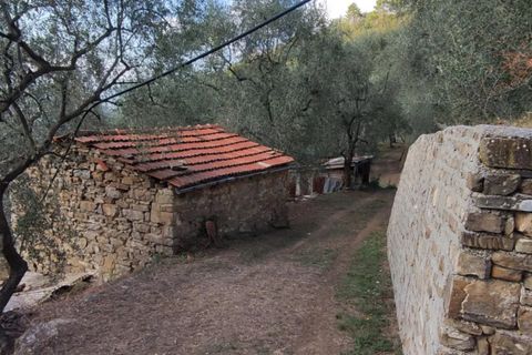 Villa a Apricale, Imperia, Apricale - € 350.000 | Ref: 83462365 - foto 15