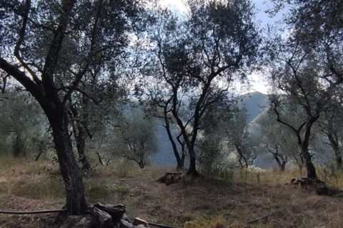 Villa a Apricale, Imperia, Apricale - € 350.000 | Ref: 83462365 - foto 16