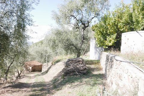 Villa a Apricale, Imperia, Apricale - € 350.000 | Ref: 83462365 - foto 17