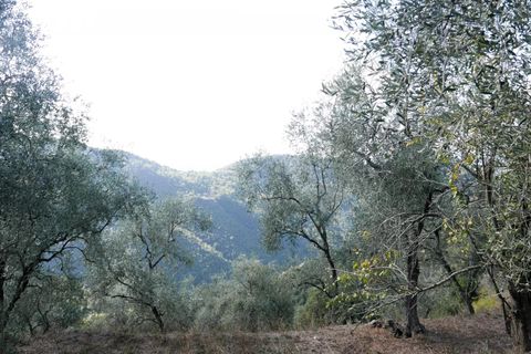 Villa a Apricale, Imperia, Apricale - € 350.000 | Ref: 83462365 - foto 20