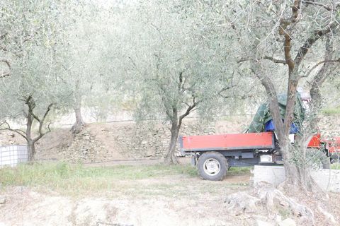 Villa a Apricale, Imperia, Apricale - € 350.000 | Ref: 83462365 - foto 21