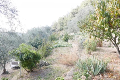 Villa a Apricale, Imperia, Apricale - € 350.000 | Ref: 83462365 - foto 27