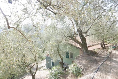 Villa a Apricale, Imperia, Apricale - € 350.000 | Ref: 83462365 - foto 28