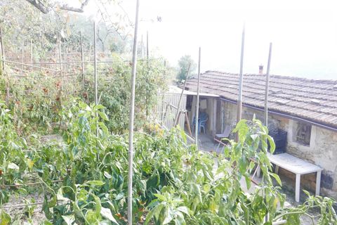 Villa a Apricale, Imperia, Apricale - € 350.000 | Ref: 83462365 - foto 30