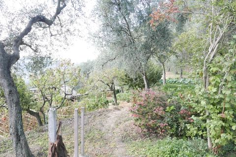 Villa a Apricale, Imperia, Apricale - € 350.000 | Ref: 83462365 - foto 33
