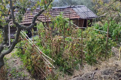 Villa a Apricale, Imperia, Apricale - € 350.000 | Ref: 83462365 - foto 35