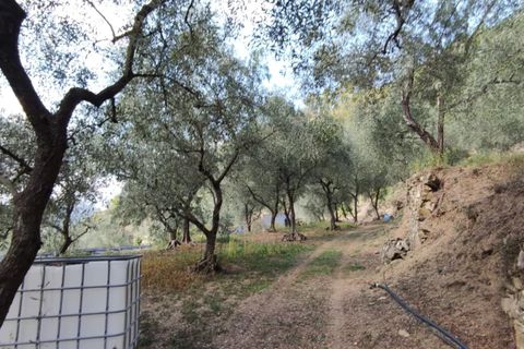 Villa a Apricale, Imperia, Apricale - € 350.000 | Ref: 83462365 - foto 36