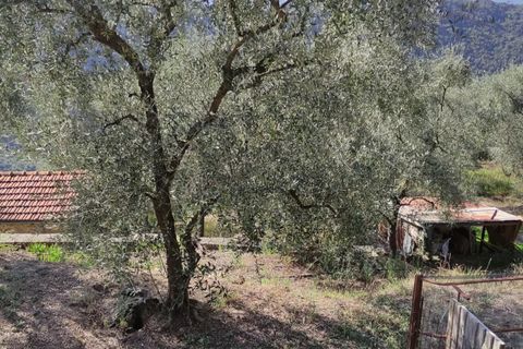 Villa a Apricale, Imperia, Apricale - € 350.000 | Ref: 83462365 - foto 38