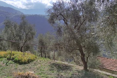Villa a Apricale, Imperia, Apricale - € 350.000 | Ref: 83462365 - foto 39