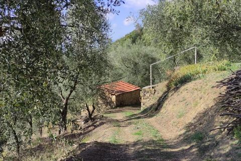 Villa a Apricale, Imperia, Apricale - € 350.000 | Ref: 83462365 - foto 40