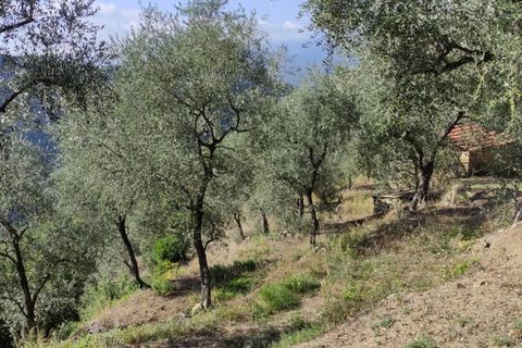 Villa a Apricale, Imperia, Apricale - € 350.000 | Ref: 83462365 - foto 41