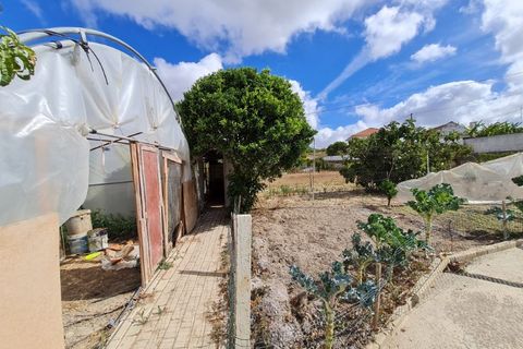 Farm i Mafra, Lisbon, Mafra - € 420.000 | Ref: FIN_80 - foto 15